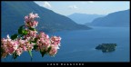 cartolina del Lago Maggiore cartolina del Lago Maggiore