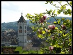 Schaffhausen dal Munot Schaffhausen dal Munot