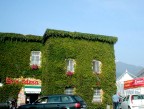 Sommersa d'edera Sommersa d'edera