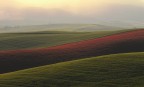 colline toscane colline toscane