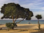 al mare al mare