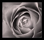 per te... per te...