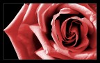 for you...2 for you...2