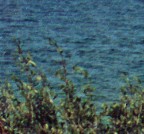 .. Filtro->Rumore->Intermedio-> 2pixel per Blu,1pixel per Verde, 2pixel per Rosso
Unsharp mask finale