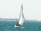 verso il faro verso il faro