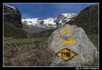 Tour Monte Rosa