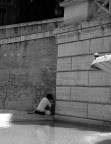guardone (dedicata a derby) guardone (dedicata a derby)