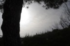 tramonto tramonto