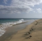 orme... orme...