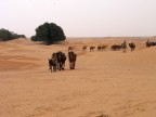 Africa 5 Africa 5