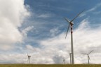 Eliche irpine Eliche irpine