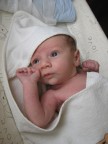 mio figlio mio figlio