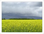 campo nordico campo nordico