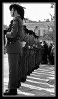 identici.... identici....