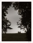 forse sì... forse sì...