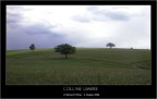 Colline umbre! Colline umbre!