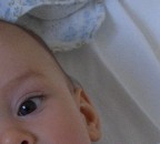 f 2,8; Esposizione 1/45; Dist. focale mm.6; ISO 200
(immagine di servizio)