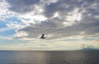 in volo in volo