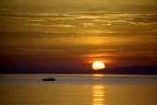 Alba Alba