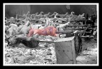 Ecco decine di porceddu che girano in contemporanea su metri quadrati di brace... Curiosissimo anche il sistema di ingranaggi e catene di biciclette per far girare tutti i poveri maialini insanguinati... Il povero maialino a colori non � casuale. E' rosa come il cappottino di una bimba nella nota scena di un film... Il bianco e nero non avrebbe fatto  vedere al meglio lo strazio della scena...
