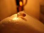 Piccola Vita 3 Piccola Vita 3