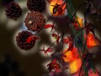 Fiori di carta Fiori di carta
