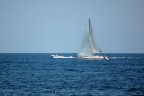 vola....vela vola....vela