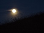 Moon rising