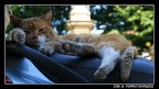 Non dormire quando si guida..... Non dormire quando si guida.....