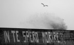 marinai marinai