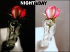 night&amp;day