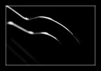 Linee di Niente Linee di Niente