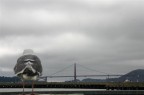 Golden Bridge Golden Bridge