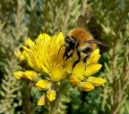 merenda al sole 2 merenda al sole 2