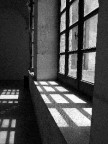 Windows Windows