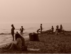 normalità in spiaggia... normalità in spiaggia...