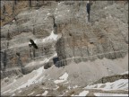 Volo libero, divinamente Volo libero, divinamente