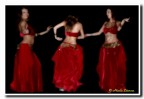 La danzatrice La danzatrice