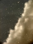 cielo cielo