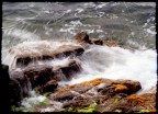 Mare.. Mare..