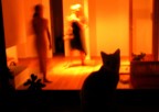 silhouettes silhouettes