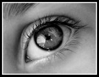 EYE EYE