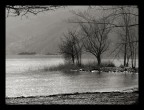 Ascona Ascona