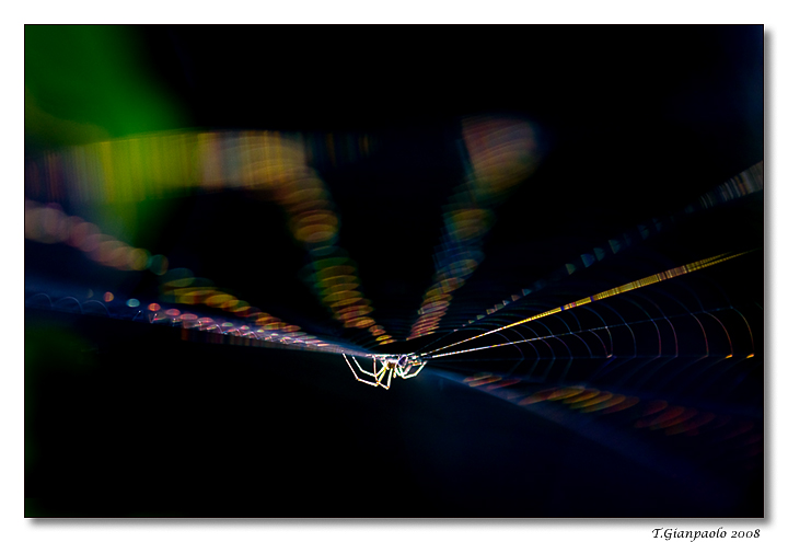 021__scie di luce.jpg