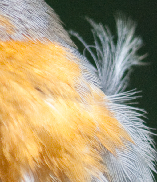 02_crop.jpg