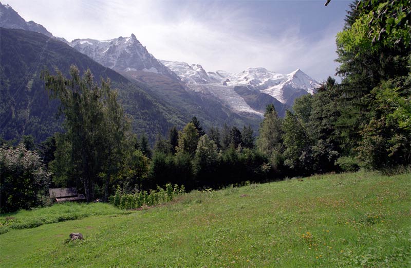 031-006.jpg
