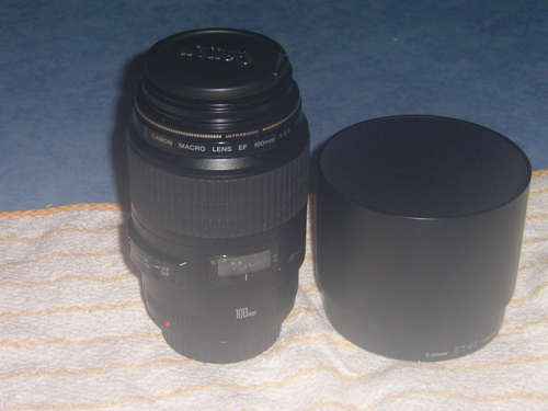 100-macro.jpg