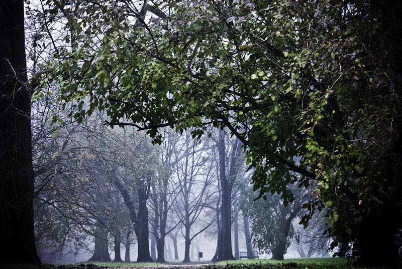 13_D_049_173 copy.jpg