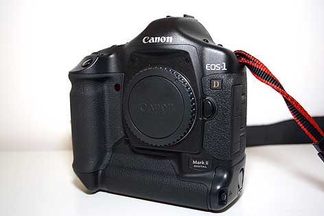 1DMKII_MG_7842.jpg