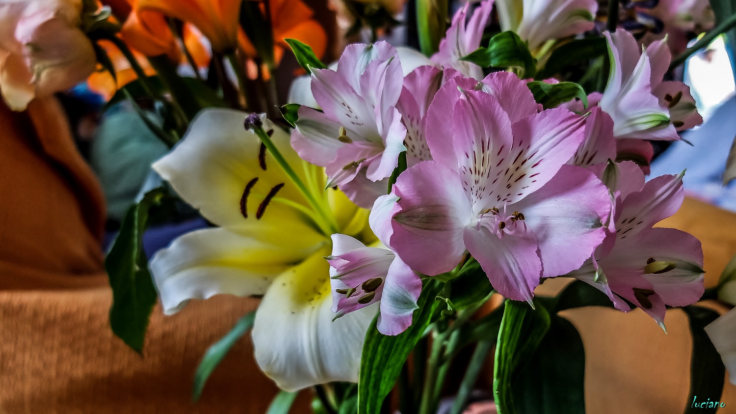 2- 6-4-15  lightroon 5-34.jpg